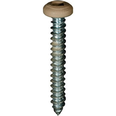 Auveco # 25362 6 x 1" Tan Painted Square Drive Pan Head Tapping Screw. Qty 100.