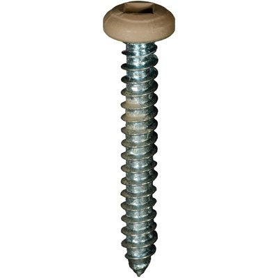 Auveco # 25371 8 x 1" Tan Painted Square Drive Pan Head Tapping Screw. Qty 100.