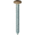 Auveco # 25392 10 x 1-1/2" Tan Painted Square Drive Pan Head Tapping Screw. Qty 100.