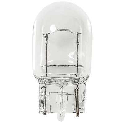 Auveco B7505 Industry Standard Bulb 7505 Qty 10 