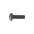 Auveco 17091 Black Nylon License Plate Screw M6-1 0 X 20mm Qty 100 